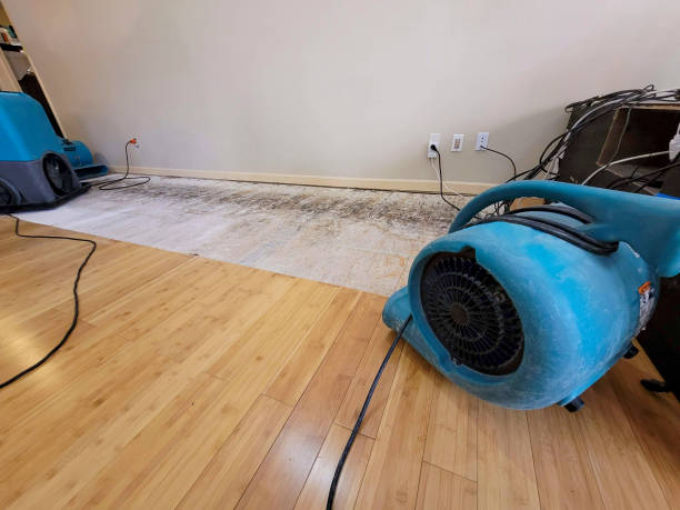 Professional Structural Drying technician working in Hughesville, MD